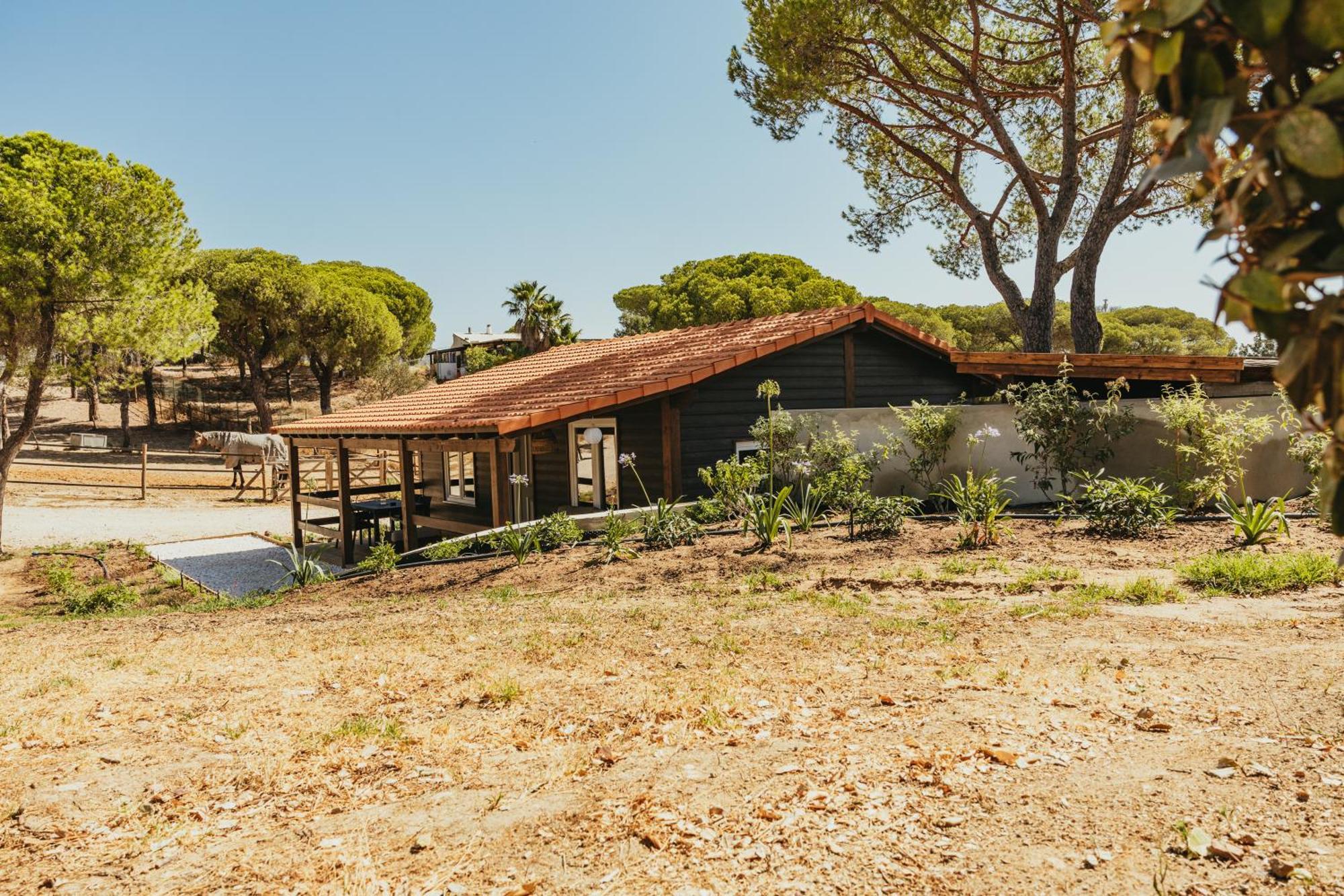 Casa Ana Chalet Almancil